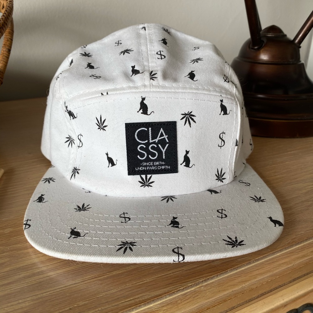 Money pot cat hat